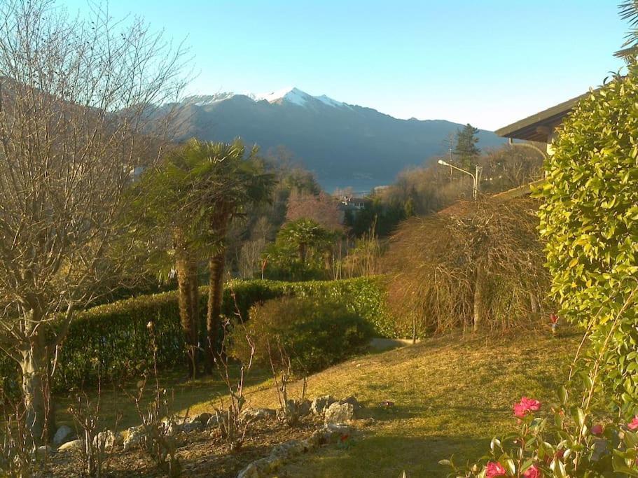 La Tua Villa Sul Lago - Casa Kollegger Luino Exterior photo